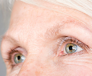 Close up of middle age woman's eyes